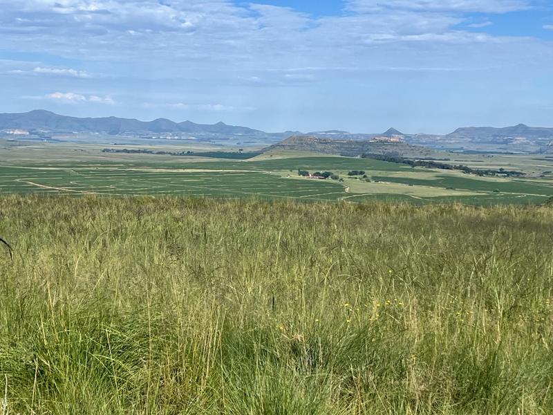 0 Bedroom Property for Sale in Fouriesburg Free State